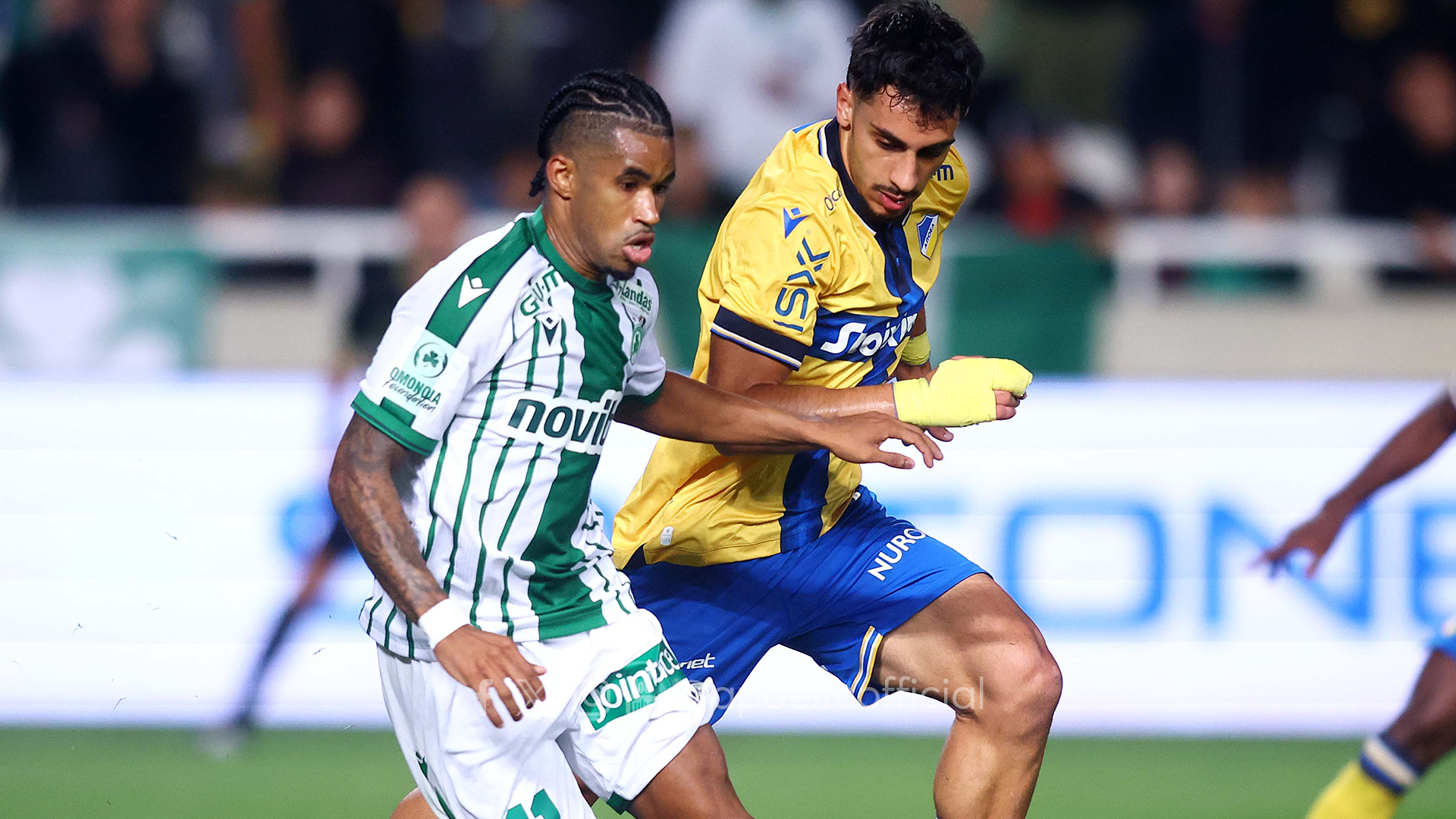 Propolisi_APOvOMO_A23_22.02.26